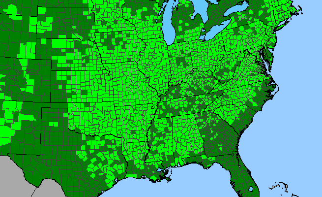 The range of Rhus glabra
